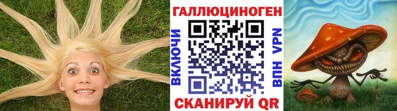 Галлюциногенные грибы Cubensis Магас