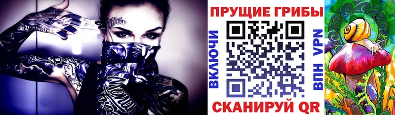 Псилоцибиновые грибы Psilocybe  Магас 